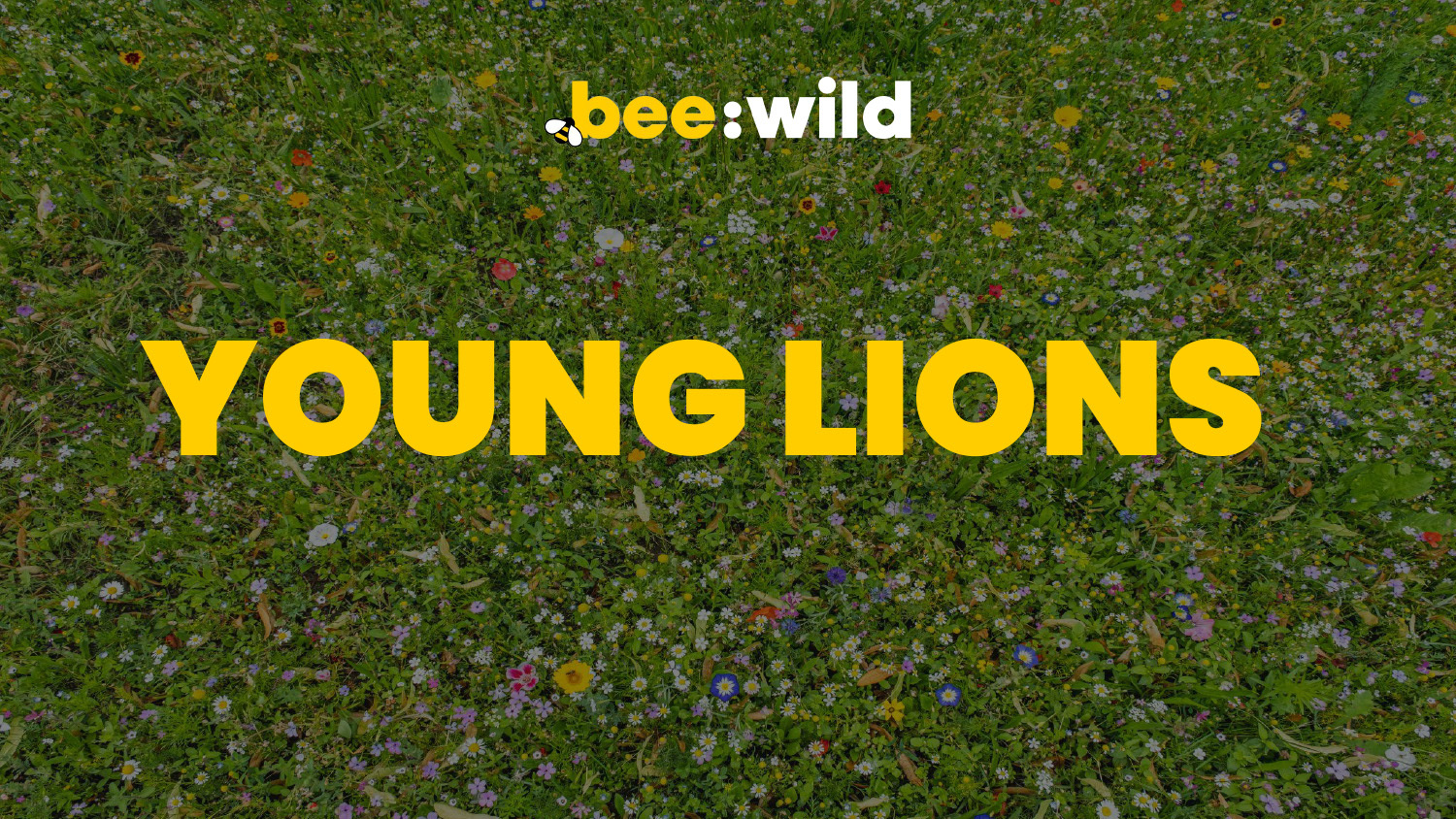 Young Lions 2025 Winners